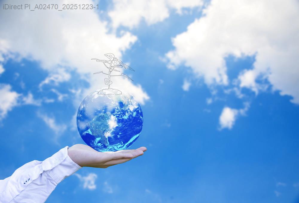 低預算生活新手：那些盲目跟風後，我所學到的真相示意圖